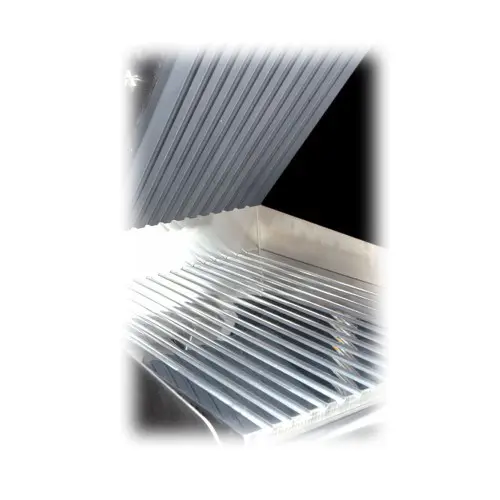 clam-2-500x500.webp